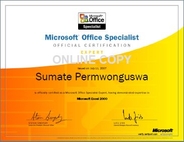 MOS Excel Expert 2000 Certificate